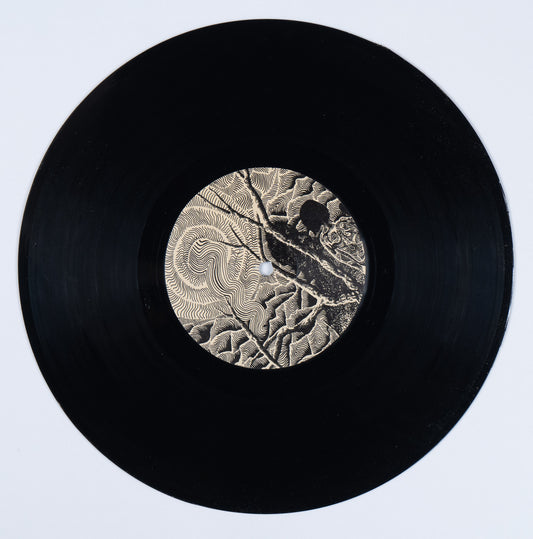 Agak / Coma Regalia / Majorel / Cady split 10"